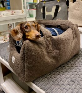 upptäck den bästa Kina hundbärare ryggsäck fabriken för elegant och bekväm husdjursresa (5)