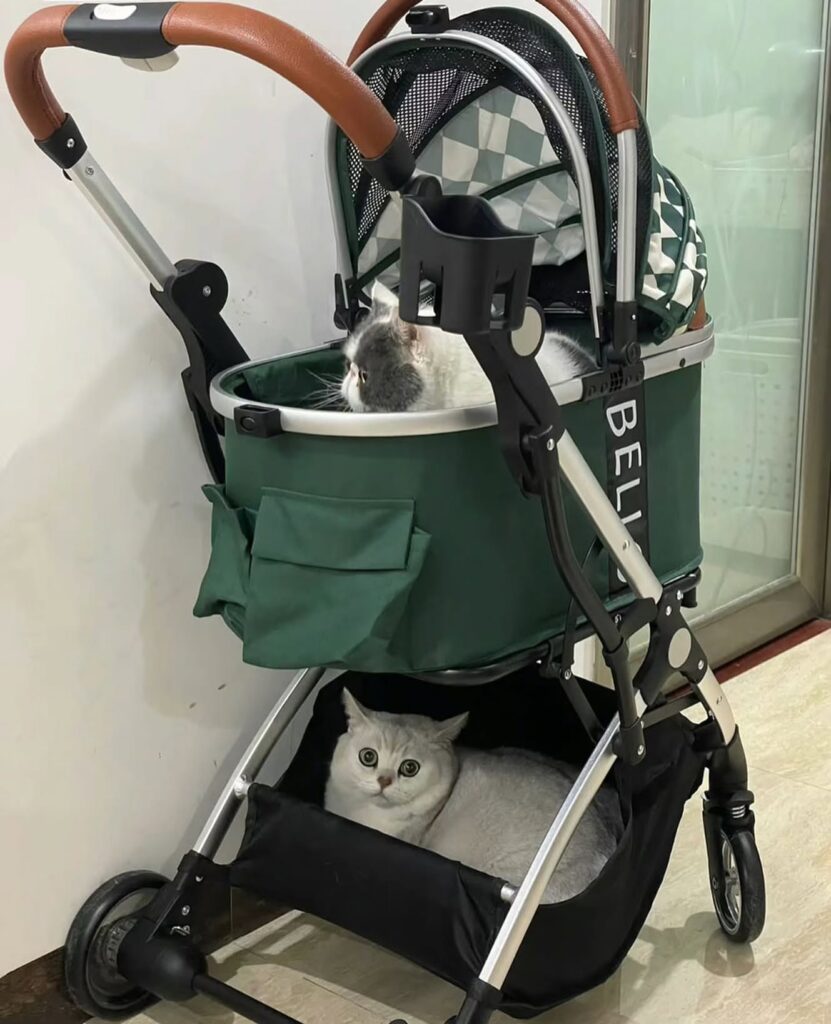 Maceralarınız için nihai köpek ve kedi koşum sırt çantası yavru evcil hayvan ön çanta fabrikasını keşfedin (1)