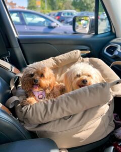 utforska de bästa Kina husdjur bärväska fabrik kvalitet, innovation och hållbarhet (5)