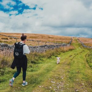 invändiga djurhållningsdynor kvalitet, säkerhet och innovation för dina håriga vänner (1)