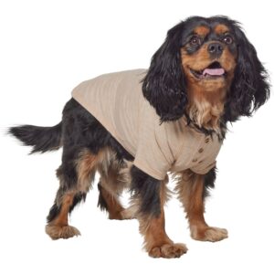 organic pet clothes company (1)