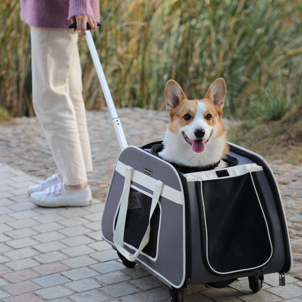 pet travel carrier with wheels (8)