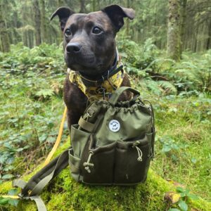 topp china pet carrier bag leverantörer kvalitet, hållbarhet och anpassningsalternativ (4)