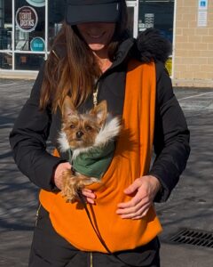 topp anpassade hund poop bag carrier leverantörer för varje husdjursägare (2)