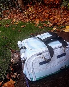 bästa tillverkare av djurhållningsdynor kvalitetskomfort för dina håriga vänner (1)