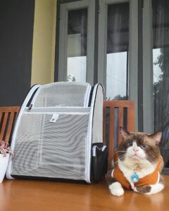 de bästa leverantörerna av resväskor för husdjur hittar de bästa alternativen för dina håriga vänner (2)