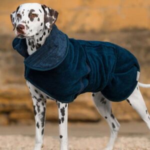 Fabricant de vêtements écologiques pour animaux de compagnie (10)