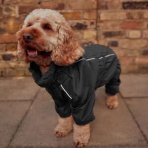 dog raincoat vendor (7)