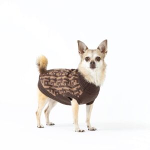 adjustable dog jacket supplier (3)