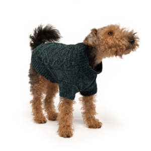 adjustable pet clothes odm (2)