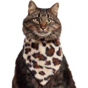 cat bandanas odm (8)