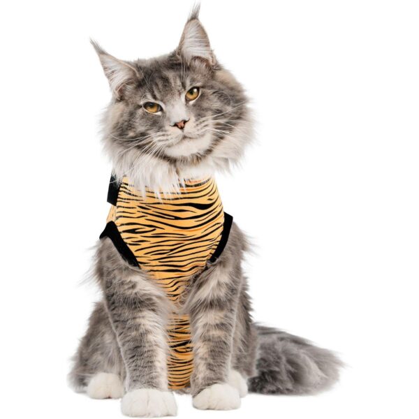 cat outfits company (5)