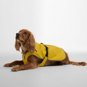 abbigliamento personalizzato per animali domestici (4)