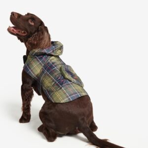 dog raincoat with hood supplier (2)