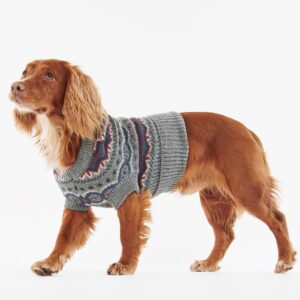 продавец свитеров для собак (1)