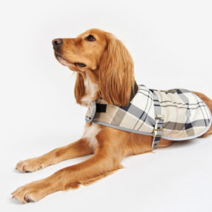 high quality pet apparel wholesaler (4)