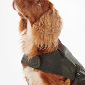 abbigliamento di lusso per animali domestici all'ingrosso (5)