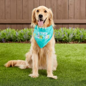 luxury pet bandanas manufacturer (1)