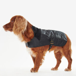 abbigliamento di lusso per animali domestici per la fabbrica di razze (4)