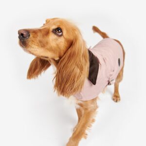 modern pet apparel manufacturer (3)