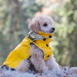 raincoat for pets private label (2)