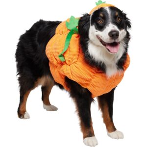 costumi di ringraziamento per animali domestici all'ingrosso (7)