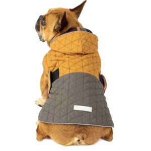 design dog puffer jacket supplier (8)
