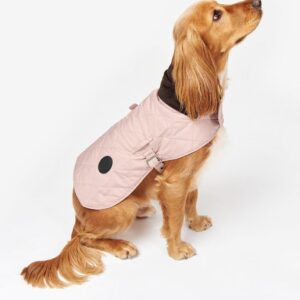 diamante trapuntato caldo cane cappotto fabbrica (2)