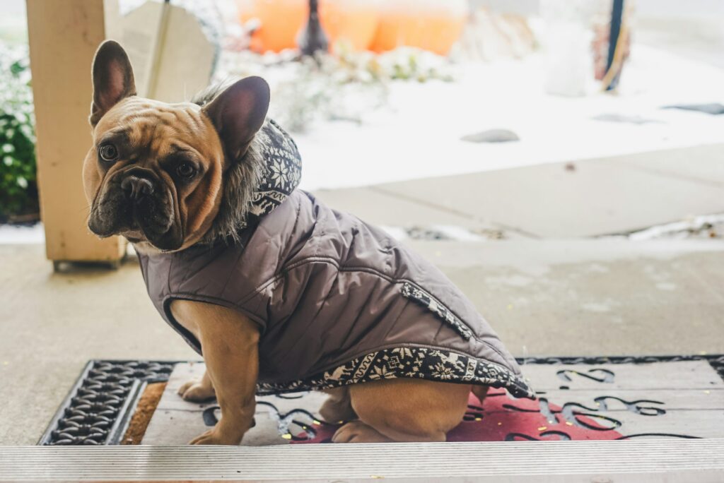 how to open your own pet store comprehensive guide (5)