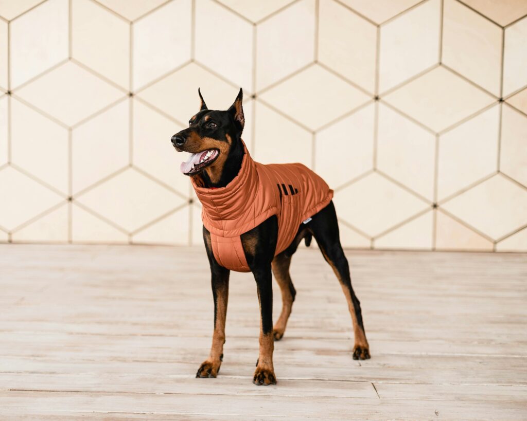 how to open your own pet store comprehensive guide (7)