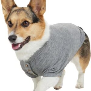 affordable dog clothes china (8)