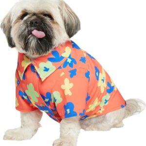 Erschwingliche Hundebekleidung Unternehmen (2)