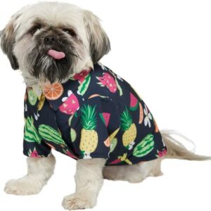Erschwingliche Hundebekleidung Export (8)