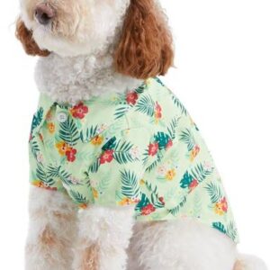 Hersteller von erschwinglicher Hundebekleidung (1)