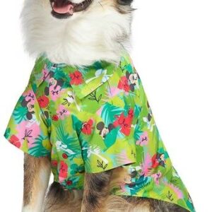 erschwingliche Hundebekleidung Eigenmarke (3)