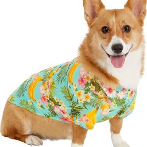 affordable dog clothes supplier (4)