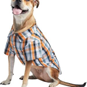 affordable dog clothes wholesaler (4)
