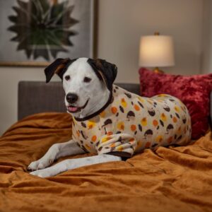пижама для собак odm (2)
