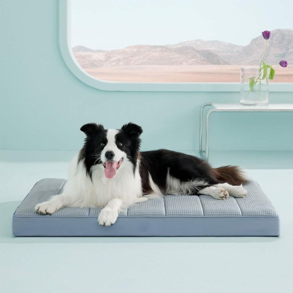 how do cooling dog beds work (2)(1)