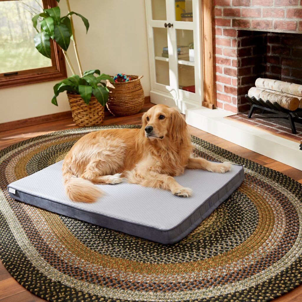 how do cooling dog beds work (3)(1)
