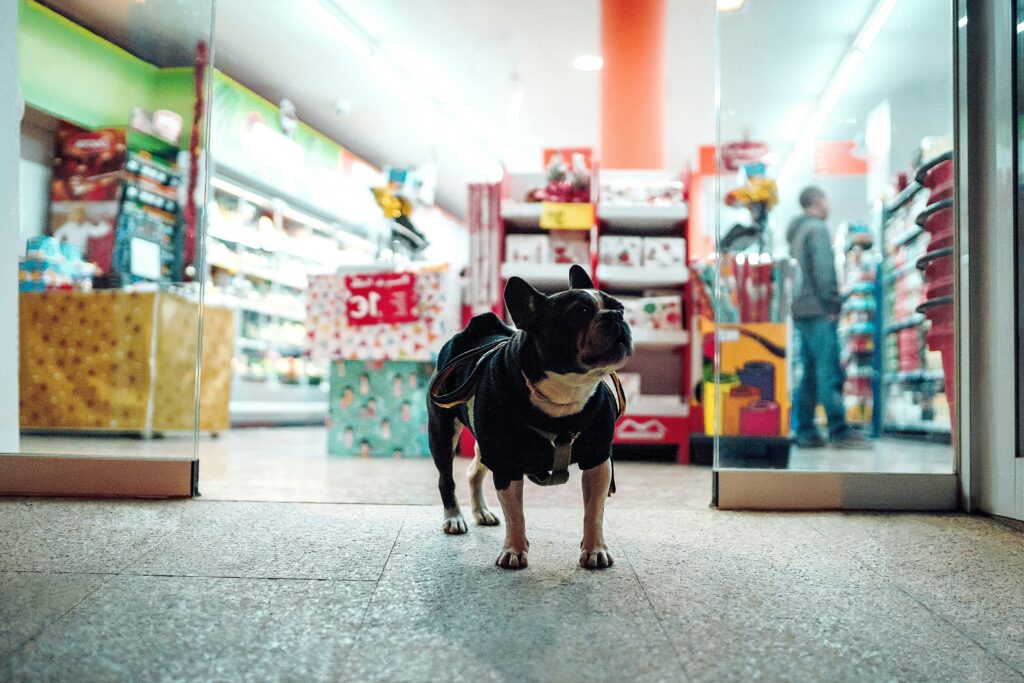 how to find and choose the best pet product manufacturer 10 steps for bulk buyers (10) how to find and choose the best pet product manufacturer 10 steps for bulk buyers (10)