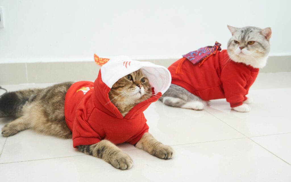 how to find and choose the best pet product manufacturer 10 steps for bulk buyers (3) how to find and choose the best pet product manufacturer 10 steps for bulk buyers (3)