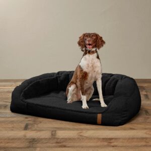 muisti vaahto koiran sänky