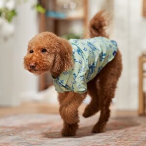 Рубашки для собак