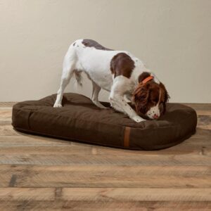 ortopedinen muisti vaahto koiran sänky