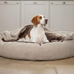 cama para cães grande