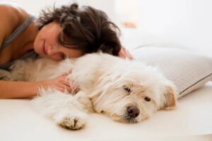 como remover pelos de cachorro da roupa de cama