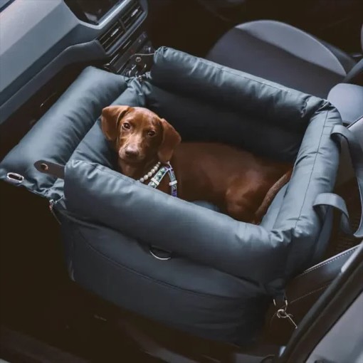 best dog car beds