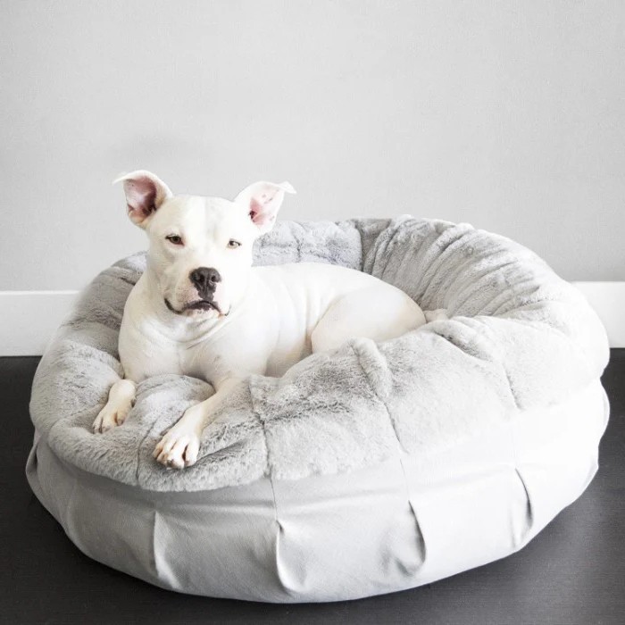 Почему собаки копаются в своих кроватях Почему собаки копаются в своих кроватях