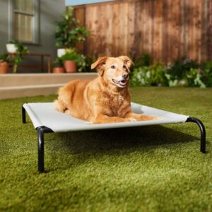 lit surélevé pour chien à l'extérieur